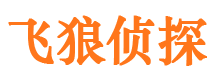 岱山市私家侦探